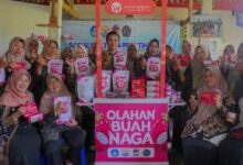 Tim UMP bersama warga dan Pokdarwis memperlihatkan produk olahan buah naga Pekunden Banyumas di booth pameran.