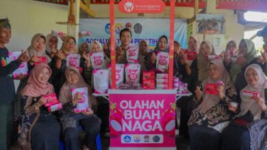 Tim UMP bersama warga dan Pokdarwis memperlihatkan produk olahan buah naga Pekunden Banyumas di booth pameran.