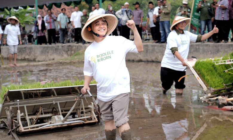 KH Tafsir menanam padi di sawah Klaten menggunakan mesin transplanter dalam peluncuran program pertanian berkelanjutan Rojolele Reborn.