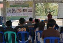 Tim PPK Ormawa UNIMUS menyampaikan materi pakan lele alternatif berbasis maggot BSF di Pendopo Kelurahan Pringapus.