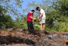 Kader dan pengurus saat merawat aset Muhammadiyah Batealit Jepara di lokasi Bringin dan Bawu