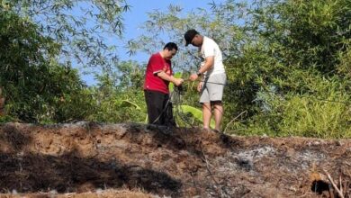 Kader dan pengurus saat merawat aset Muhammadiyah Batealit Jepara di lokasi Bringin dan Bawu