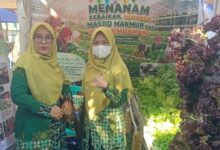Stan pameran HidroponikMu Muhammadiyah Surakarta di Expo CRM Jateng 2026 yang menampilkan aneka sayur hidroponik segar.