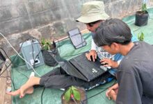 Dua mahasiswa UMS sedang mengonfigurasi perangkat IoT untuk sistem smart farming kopi boyolali di dalam greenhouse Desa Seboto.