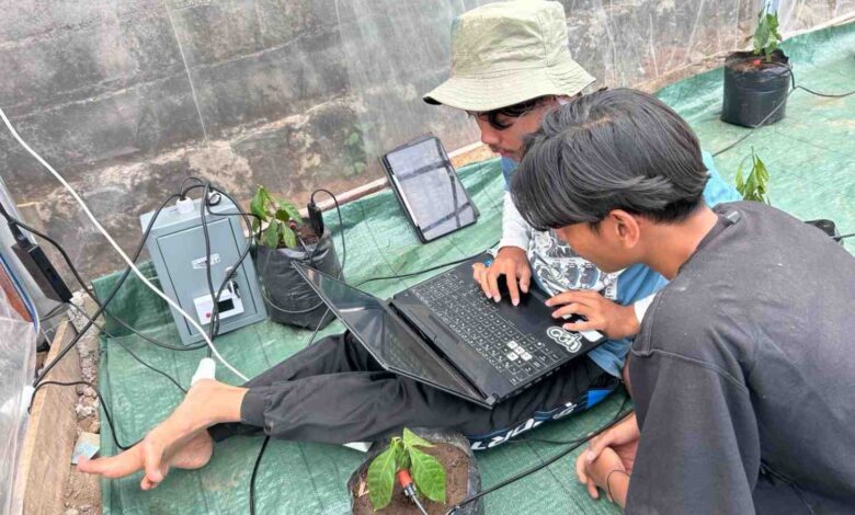 Dua mahasiswa UMS sedang mengonfigurasi perangkat IoT untuk sistem smart farming kopi boyolali di dalam greenhouse Desa Seboto.