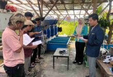 Tim dosen dan mahasiswa UMS memberikan pelatihan penggunaan sistem IoT untuk memantau kualitas air pembibitan ikan nila kepada pengelola Sanjaya Aquatic Sukoharjo.