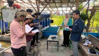 Tim dosen dan mahasiswa UMS memberikan pelatihan penggunaan sistem IoT untuk memantau kualitas air pembibitan ikan nila kepada pengelola Sanjaya Aquatic Sukoharjo.