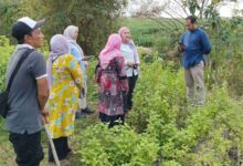 Tim Eco Bhinneka Muhammadiyah, LATIN, dan PWA Jawa Timur saat meninjau dan mengukur calon lahan Hutan Wakaf SITI KANAYA di ATC Pasuruan.
