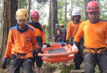 Relawan SAR Muhammadiyah Jawa Tengah melakukan simulasi evakuasi membawa tandu penyelamat di kawasan hutan Gunung Telon Purworejo.