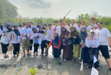 Mahasiswa STIEM Cilacap tanam mangrove bersama di pesisir pantai Adipala