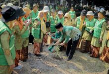 Wakil Rektor III UMS dan pengurus LLHPB Aisyiyah Jawa Tengah menanam bibit pohon dalam aksi mitigasi bencana Jawa Tengah
