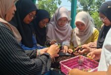 Peserta pelatihan budidaya anggrek AMM Ranting Muntilan 2 praktik menanam bibit anggrek