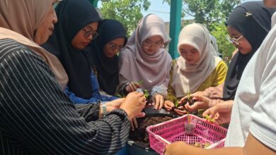 Peserta pelatihan budidaya anggrek AMM Ranting Muntilan 2 praktik menanam bibit anggrek