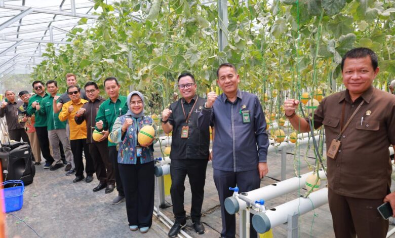 Kepala LLDIKTI VI Prof. Aisyah Endah Palupi, Rektor UNIMUS Prof. Masrukhi, Ketua PN Semarang Dr. Salman Alfarasi, dan jajaran pimpinan pose mengepalkan tangan saat panen melon UNIMUS di greenhouse hidroponik kampus.