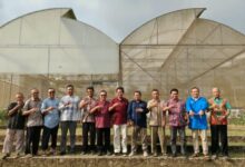 Pakar Halal Dunia Prof Irwandi Jaswir saat meninjau hilirisasi riset PLTS aeroponik bersama akademisi di Al Maa'uun Epicentrum Wonosobo
